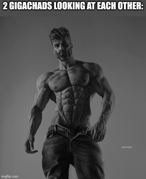 giga chad | 2 GIGACHADS LOOKING AT EACH OTHER: | image tagged in giga chad | made w/ Imgflip meme maker