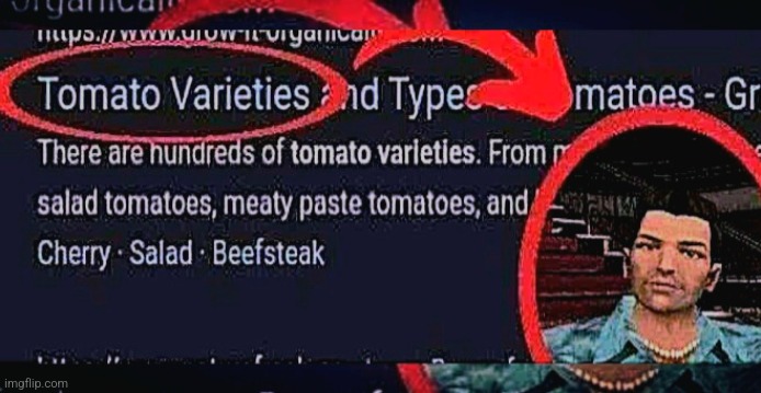 Tomato Varieties??!? | image tagged in tomato varieties | made w/ Imgflip meme maker