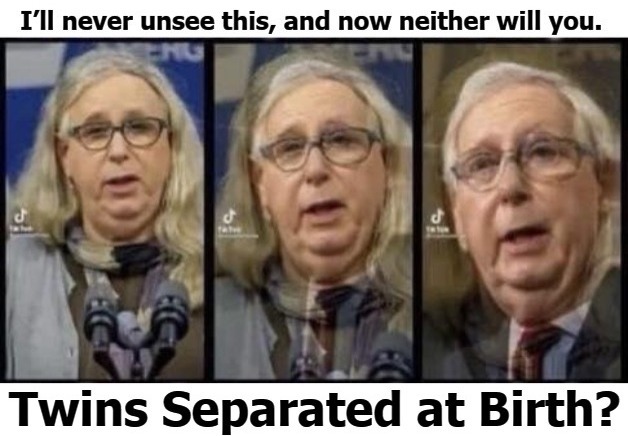 I’ll never unsee this, and now neither will you. Transgender vs. TransRepublican. | image tagged in mitch mcconnell,rachel levine,transgender,transrepublican,mitch the bitch,rino | made w/ Imgflip meme maker