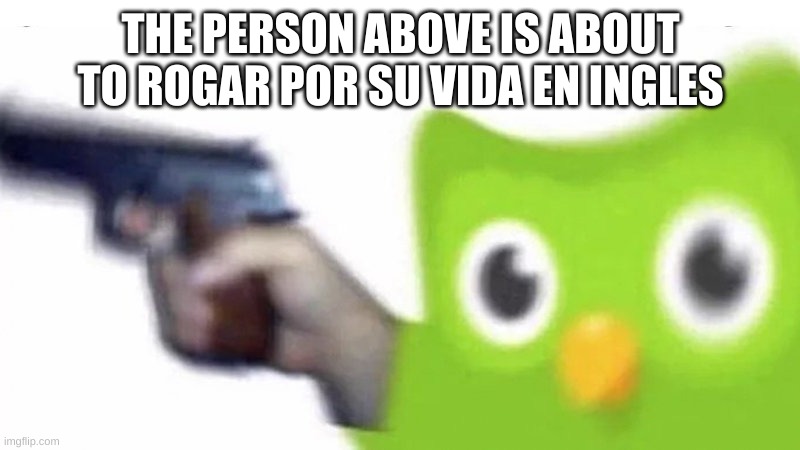 duolingo gun | THE PERSON ABOVE IS ABOUT TO ROGAR POR SU VIDA EN INGLES | image tagged in duolingo gun | made w/ Imgflip meme maker