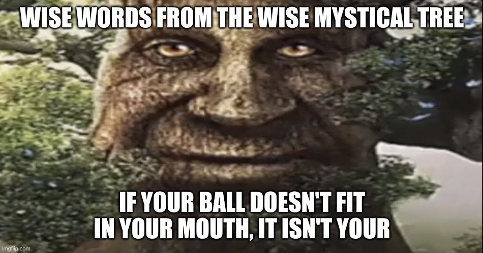 Wise mystical tree | WISE WORDS FROM THE WISE MYSTICAL TREE; IF YOUR BALL DOESN'T FIT IN YOUR MOUTH, IT ISN'T YOUR | image tagged in wise mystical tree | made w/ Imgflip meme maker