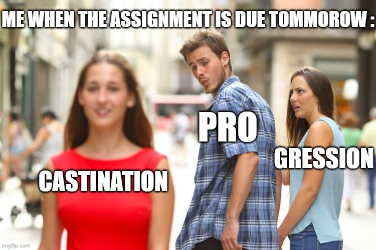 I should probably finish it instead of making memes | ME WHEN THE ASSIGNMENT IS DUE TOMMOROW :; PRO; GRESSION; CASTINATION | image tagged in memes,distracted boyfriend | made w/ Imgflip meme maker