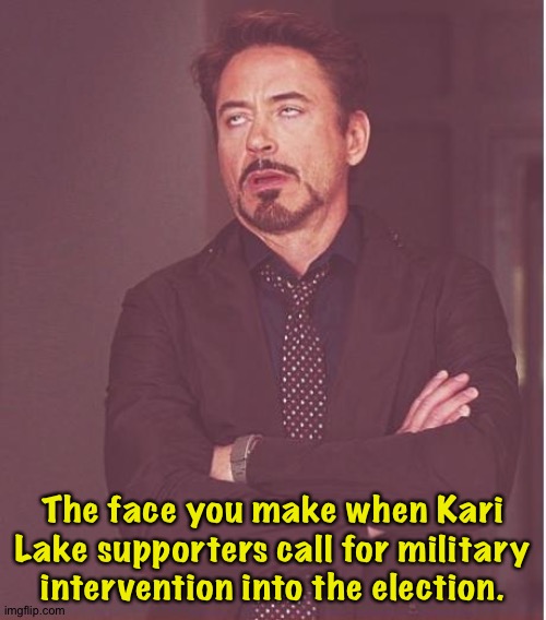 Kari Flake supporters | The face you make when Kari Lake supporters call for military intervention into the election. | image tagged in memes,face you make robert downey jr | made w/ Imgflip meme maker