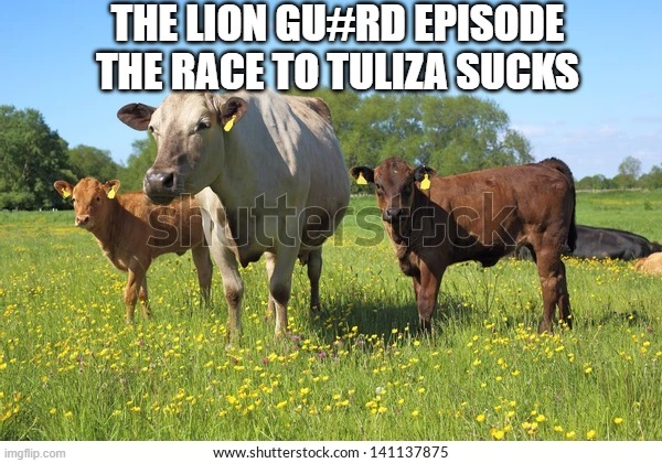Cows | THE LION GU#RD EPISODE THE RACE TO TULIZA SUCKS | image tagged in cows | made w/ Imgflip meme maker