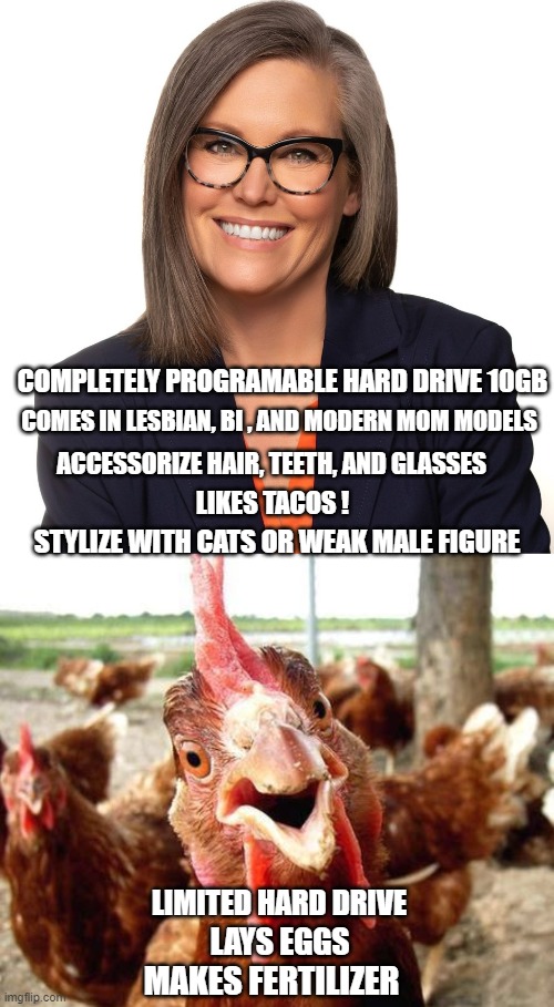 there you have it in a nut shell | COMPLETELY PROGRAMABLE HARD DRIVE 10GB; COMES IN LESBIAN, BI , AND MODERN MOM MODELS; ACCESSORIZE HAIR, TEETH, AND GLASSES; LIKES TACOS ! STYLIZE WITH CATS OR WEAK MALE FIGURE; LIMITED HARD DRIVE; LAYS EGGS; MAKES FERTILIZER | image tagged in democrats | made w/ Imgflip meme maker