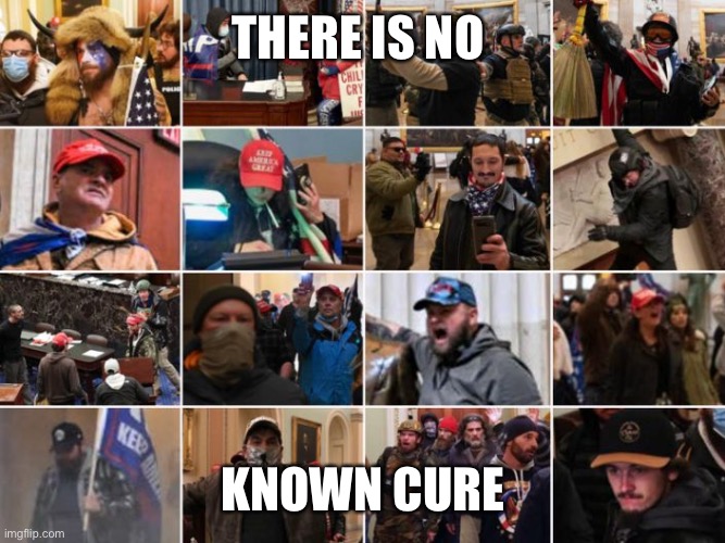 DC Insurrectionists 4 | THERE IS NO KNOWN CURE | image tagged in dc insurrectionists 4 | made w/ Imgflip meme maker