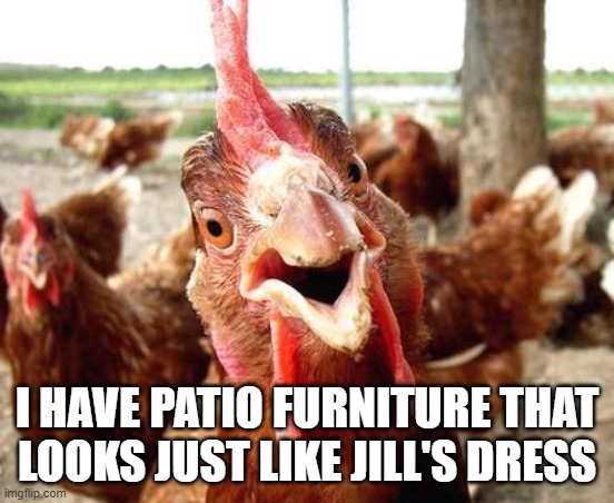 Chicken | I HAVE PATIO FURNITURE THAT LOOKS JUST LIKE JILL'S DRESS | image tagged in chicken | made w/ Imgflip meme maker