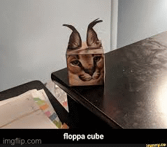 Floppa Cube GIF - Floppa Cube Pilgrim - Discover & Share GIFs