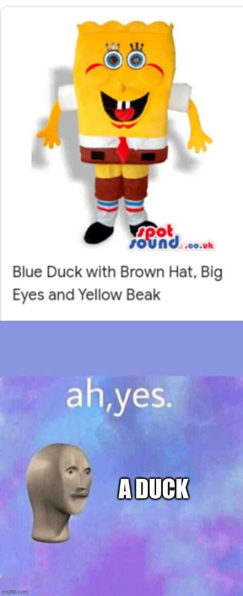 rly tho | A DUCK | image tagged in ah yes,duck | made w/ Imgflip meme maker