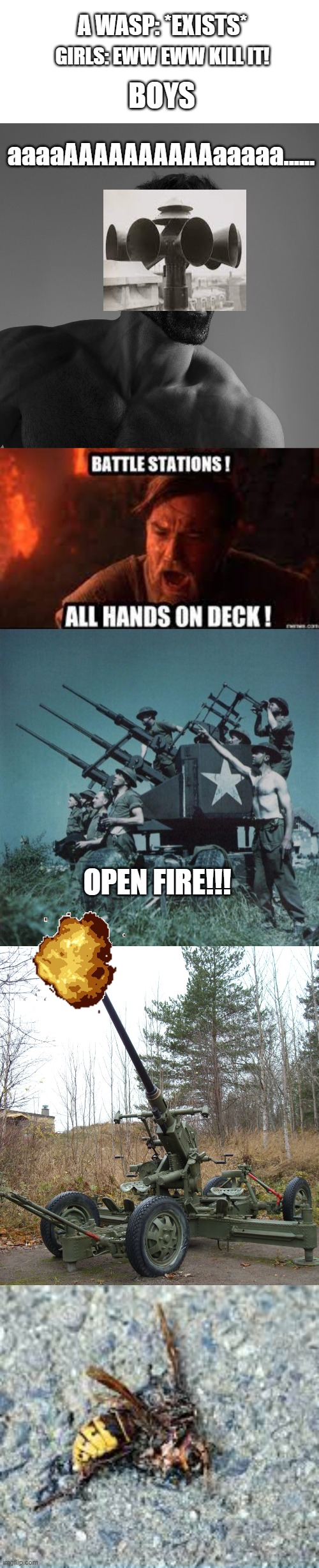 boys vs girls: Situation-Wasp | A WASP: *EXISTS*; GIRLS: EWW EWW KILL IT! BOYS; aaaaAAAAAAAAAAaaaaa...... OPEN FIRE!!! | image tagged in giga chad,anti aircraft,bofors anti-aircraft gun,dead wasp | made w/ Imgflip meme maker