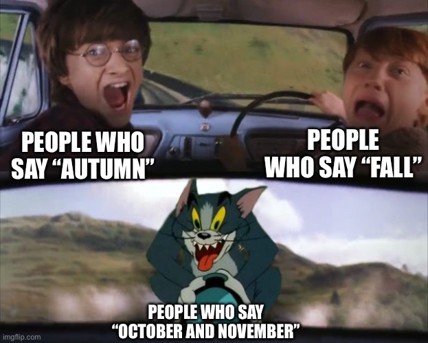 I’m back | PEOPLE WHO SAY “FALL”; PEOPLE WHO SAY “AUTUMN”; PEOPLE WHO SAY “OCTOBER AND NOVEMBER” | image tagged in tom chasing harry and ron weasly,memes | made w/ Imgflip meme maker
