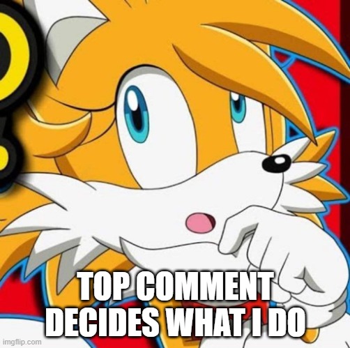 TOP COMMENT DECIDES WHAT I DO | image tagged in tailsko | made w/ Imgflip meme maker