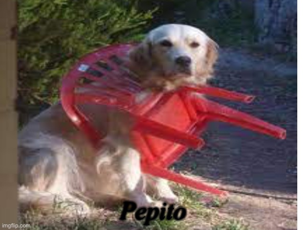 Stonks | Pepito | image tagged in spanish | made w/ Imgflip meme maker