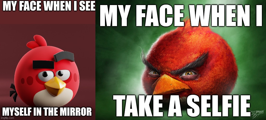 MY FACE WHEN I SEE; MY FACE WHEN I; TAKE A SELFIE; MYSELF IN THE MIRROR | image tagged in amazingly red,realistic red angry birds | made w/ Imgflip meme maker