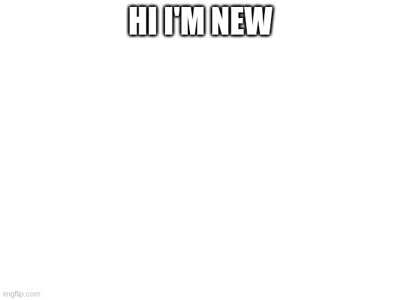 Blank White Template | HI I'M NEW | image tagged in blank white template | made w/ Imgflip meme maker