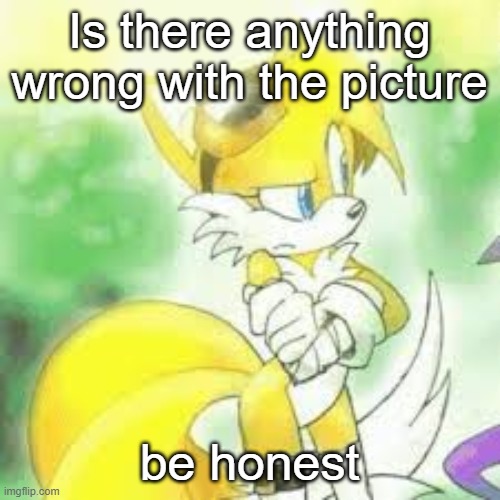 Is there anything wrong with the picture; be honest | image tagged in tailsko | made w/ Imgflip meme maker