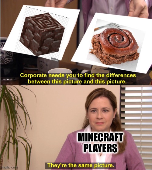 I mean... | MINECRAFT PLAYERS | image tagged in memes,they're the same picture,minecraft,change my mind | made w/ Imgflip meme maker