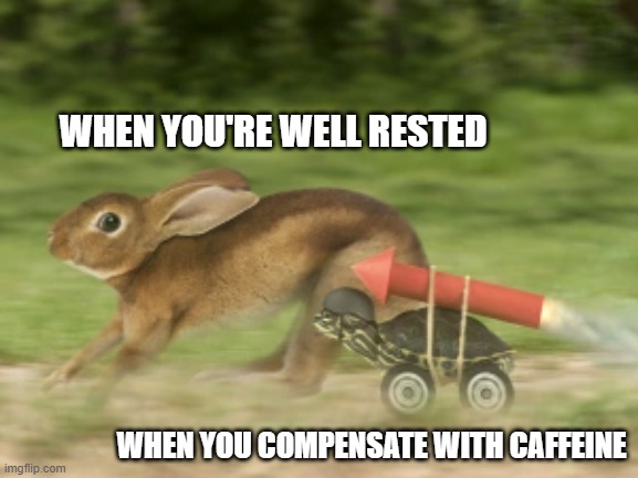 When you have both, covfefe can help on top of being reasonably rested. | WHEN YOU'RE WELL RESTED; WHEN YOU COMPENSATE WITH CAFFEINE | image tagged in caffeine,tortoise,hare,rabbit,sleep,turtle | made w/ Imgflip meme maker