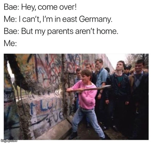 Oh, That Wall Coming Down! | image tagged in history memes | made w/ Imgflip meme maker