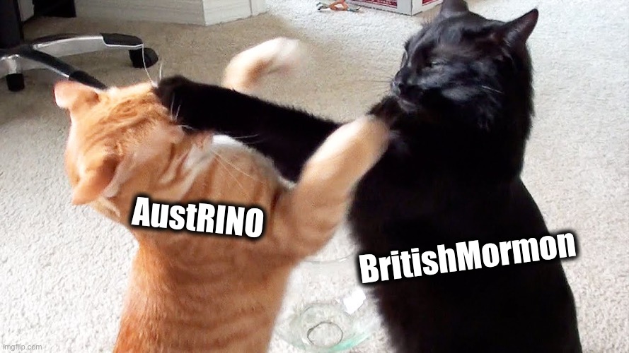 catfight | AustRINO BritishMormon | image tagged in catfight | made w/ Imgflip meme maker