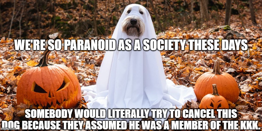 You know Twitter would have a hot take. Pumpkin=Pumpkin Spice=White girls=White supremacy. Ghost costume=...well, you know. |  WE'RE SO PARANOID AS A SOCIETY THESE DAYS; SOMEBODY WOULD LITERALLY TRY TO CANCEL THIS DOG BECAUSE THEY ASSUMED HE WAS A MEMBER OF THE KKK. | image tagged in twitter,cancel culture,political correctness,halloween,dog,ghost | made w/ Imgflip meme maker