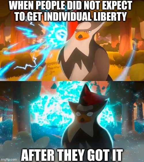 Enlightenment Meme | WHEN PEOPLE DID NOT EXPECT TO GET INDIVIDUAL LIBERTY; AFTER THEY GOT IT | image tagged in mandjtv staraptor template | made w/ Imgflip meme maker