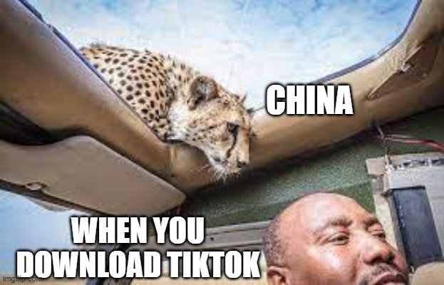 The CCP is n yur base stealin' yur memez. | CHINA; WHEN YOU DOWNLOAD TIKTOK | image tagged in tiktok,china,cheetah,spying,chinese communist party,data | made w/ Imgflip meme maker