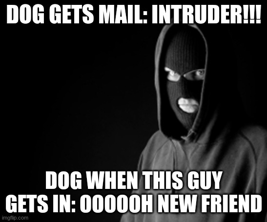 Criminal | DOG GETS MAIL: INTRUDER!!! DOG WHEN THIS GUY GETS IN: OOOOOH NEW FRIEND | image tagged in criminal | made w/ Imgflip meme maker