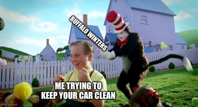 Cat in the hat with a bat. (______ Colorized) | BUFFALO WINTERS; ME TRYING TO KEEP YOUR CAR CLEAN | image tagged in cat in the hat with a bat ______ colorized | made w/ Imgflip meme maker