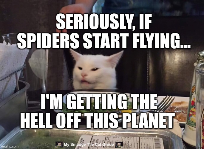  SERIOUSLY, IF SPIDERS START FLYING... I'M GETTING THE HELL OFF THIS PLANET | image tagged in smudge the cat | made w/ Imgflip meme maker
