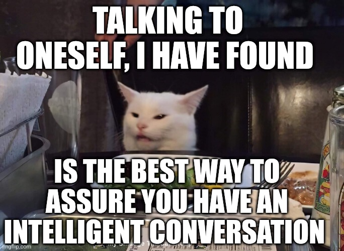 TALKING TO ONESELF, I HAVE FOUND; IS THE BEST WAY TO ASSURE YOU HAVE AN INTELLIGENT CONVERSATION | image tagged in smudge the cat | made w/ Imgflip meme maker
