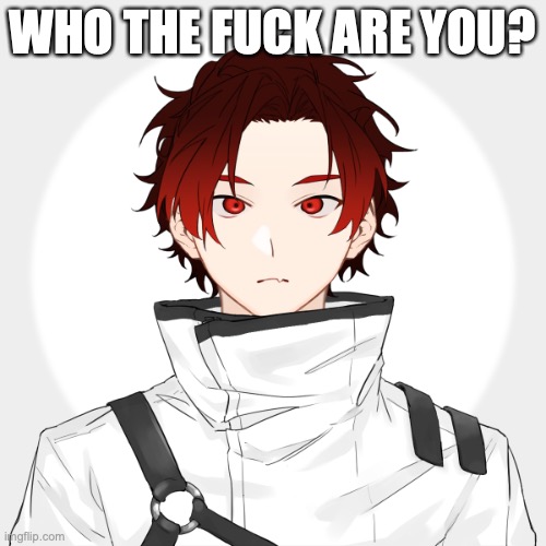 greeting temp | WHO THE FUCK ARE YOU? | image tagged in greeting temp | made w/ Imgflip meme maker
