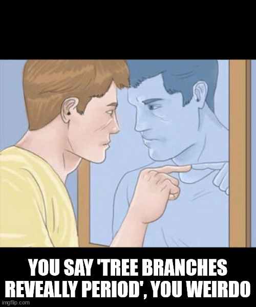 check yourself depressed guy pointing at himself mirror | YOU SAY 'TREE BRANCHES REVEALLY PERIOD', YOU WEIRDO | image tagged in check yourself depressed guy pointing at himself mirror | made w/ Imgflip meme maker