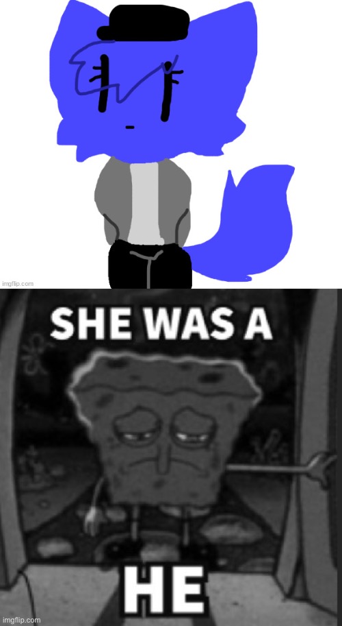 image tagged in female pump,she was a he | made w/ Imgflip meme maker