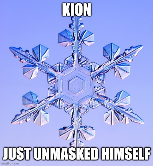 Special snowflake | KION; JUST UNMASKED HIMSELF | image tagged in special snowflake | made w/ Imgflip meme maker