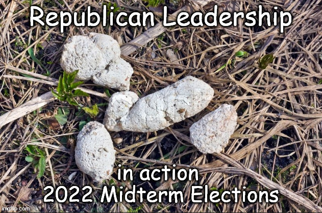 GOP- as effective as dried dog sh*t | Republican Leadership; in action 
2022 Midterm Elections | image tagged in memes,politics | made w/ Imgflip meme maker