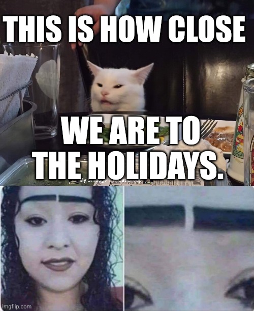 THIS IS HOW CLOSE; WE ARE TO THE HOLIDAYS. | image tagged in smudge the cat | made w/ Imgflip meme maker