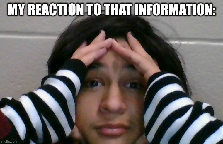 my reaction to that information: | MY REACTION TO THAT INFORMATION: | image tagged in my reaction to that information | made w/ Imgflip meme maker