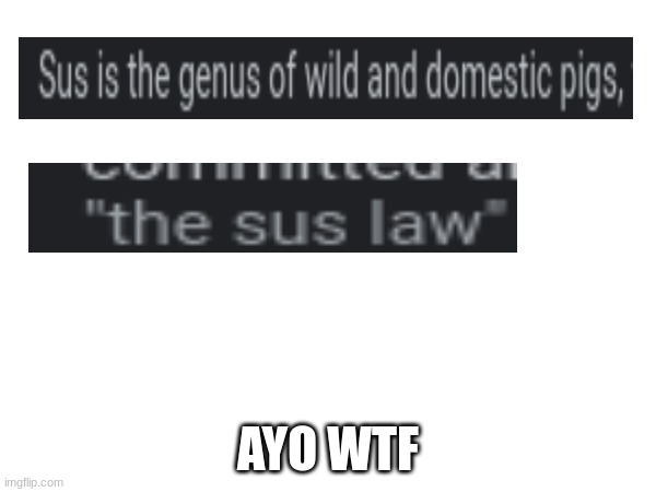 AYO WTF | image tagged in sus | made w/ Imgflip meme maker