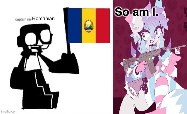So am I. Romanian | image tagged in memes | made w/ Imgflip meme maker