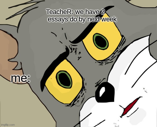 CAT | TeacheR: we have 2  essays do by next week; me: | image tagged in memes,unsettled tom | made w/ Imgflip meme maker