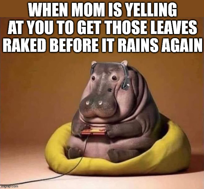 WHEN MOM IS YELLING AT YOU TO GET THOSE LEAVES RAKED BEFORE IT RAINS AGAIN | image tagged in gaming | made w/ Imgflip meme maker