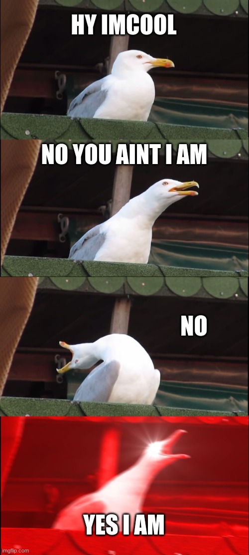 birdy is mad | HY IMCOOL; NO YOU AINT I AM; NO; YES I AM | image tagged in memes,inhaling seagull | made w/ Imgflip meme maker