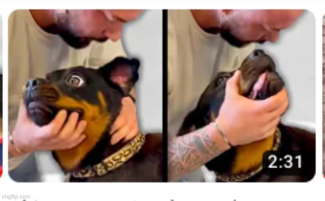 This Dog | made w/ Imgflip meme maker