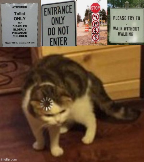 the 4 horsemen of confusing signs | image tagged in loading cat,visible confusion,confused,funny signs,dumb signs,the 4 horsemen of | made w/ Imgflip meme maker