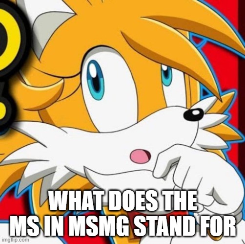 WHAT DOES THE MS IN MSMG STAND FOR | image tagged in tailsko | made w/ Imgflip meme maker