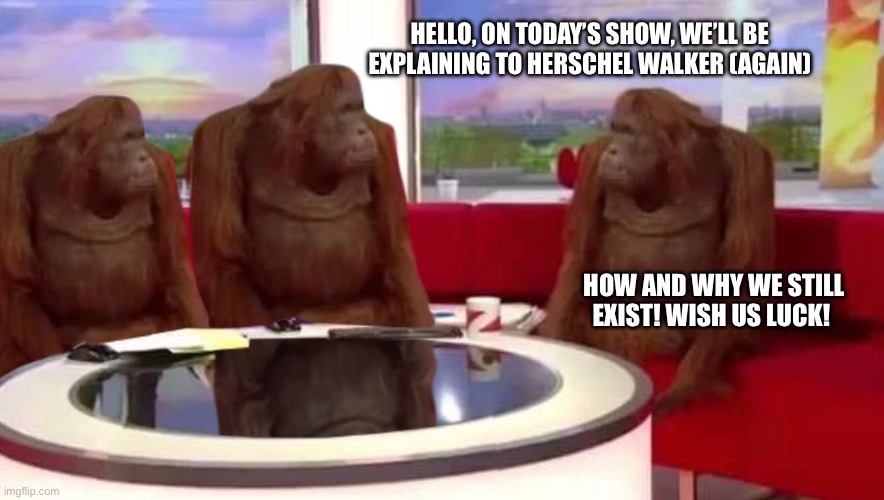 where monkey | HELLO, ON TODAY’S SHOW, WE’LL BE EXPLAINING TO HERSCHEL WALKER (AGAIN); HOW AND WHY WE STILL EXIST! WISH US LUCK! | image tagged in where monkey | made w/ Imgflip meme maker