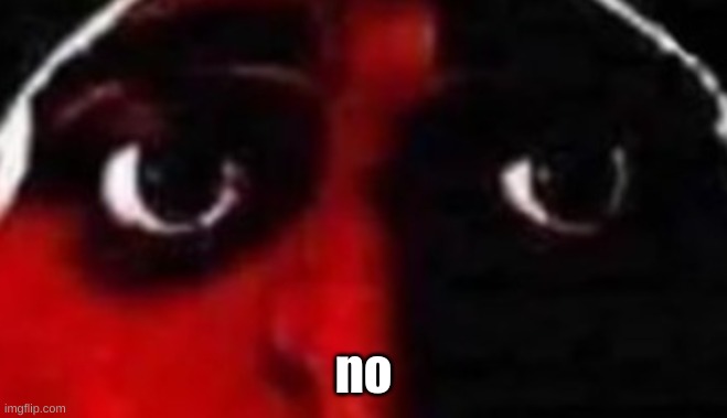 no | made w/ Imgflip meme maker