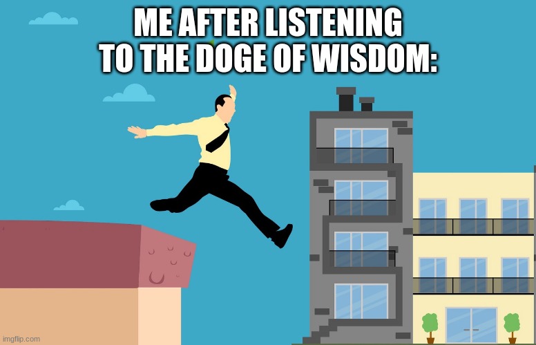CFO Swan Dive | ME AFTER LISTENING TO THE DOGE OF WISDOM: | image tagged in cfo swan dive | made w/ Imgflip meme maker