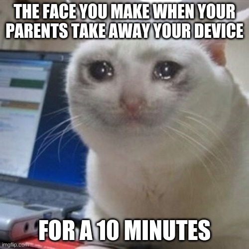 Crying cat | THE FACE YOU MAKE WHEN YOUR PARENTS TAKE AWAY YOUR DEVICE; FOR A 10 MINUTES | image tagged in crying cat | made w/ Imgflip meme maker